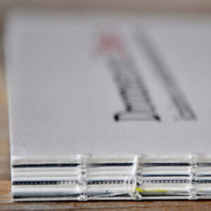 Lees meer over het artikel Boek Dromen en Draken