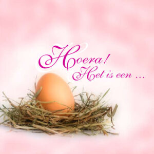 Lees meer over het artikel Teaser Softwear