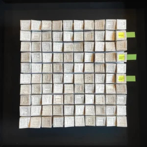 Lees meer over het artikel Art. 1:199